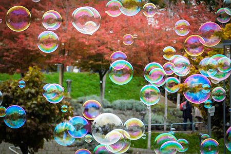 clear bubble lot thumbnail