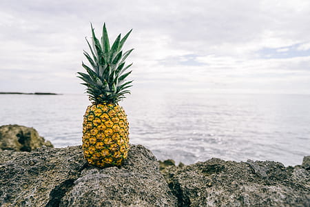 pineapple fruit on gray rock monolith thumbnail