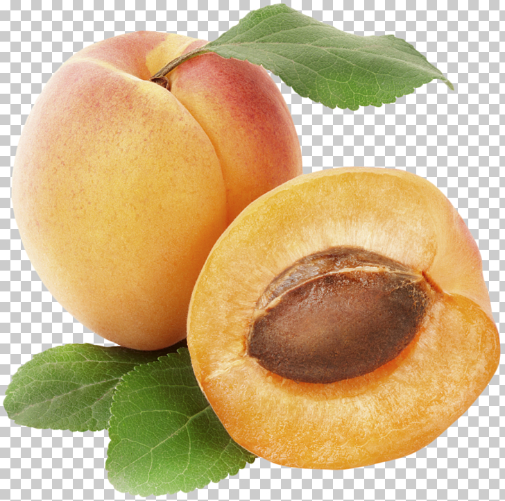 Apricot Fruit , Apricot , peach fruit PNG clipart