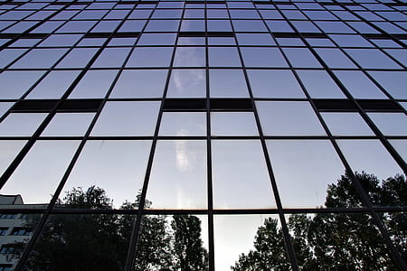 low-angle photography of curtain wall thumbnail