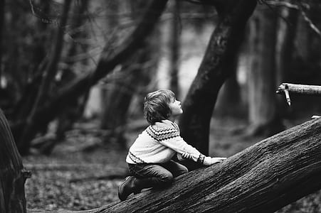 grayscale photography of child kneeling on tree trunk looking up thumbnail