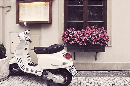 motor scooter beside pink petaled flowers thumbnail