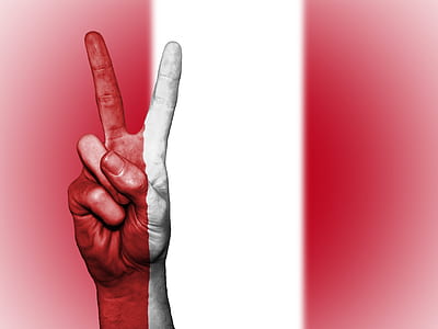 person's peace finger sign thumbnail