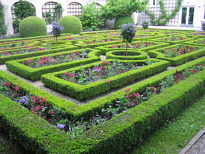 accent hedge garden maze during day time thumbnail