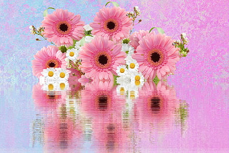 pink and white flowers thumbnail