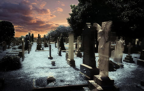 white and black concrete gravestones in graveyard thumbnail