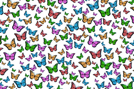 multicolored butterfly print thumbnail