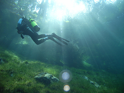 person scuba-diving surrounded with green corals and reefs thumbnail