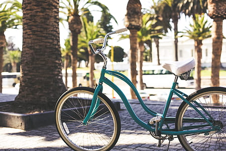 green cruiser bike parked on gray pavement beside green palm trees thumbnail