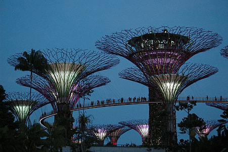 round gray and purple structure thumbnail