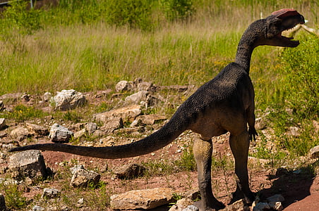 brown and gray dinosaur on field during daytime thumbnail