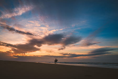 person riding horse on seashore thumbnail