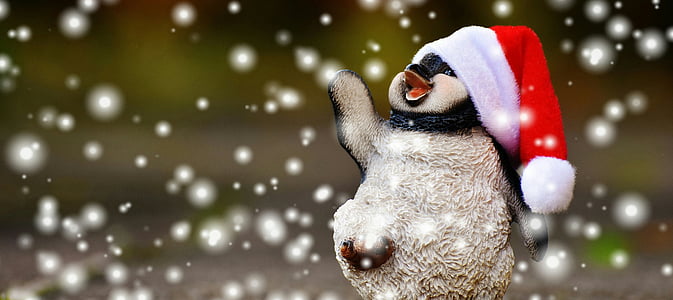 penguin with Santa hat during snow at daytime thumbnail