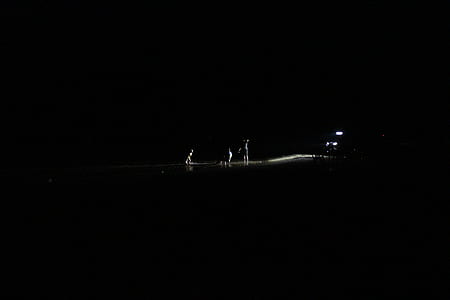 night, dark, lights thumbnail