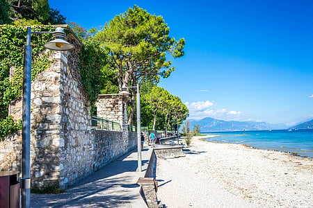 green trees on beach shore thumbnail