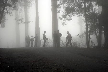 group of men on fog covered forest thumbnail