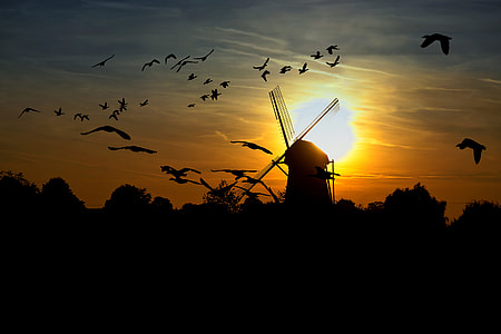 silhouette of a windmill and flying birds at sunset thumbnail