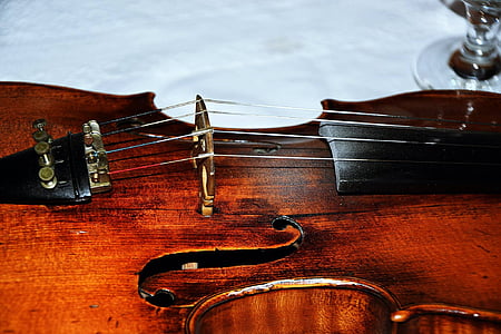 brown violin thumbnail