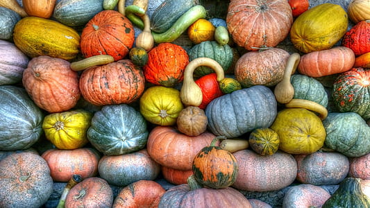 Green Orange and Yellow Pumpkins thumbnail