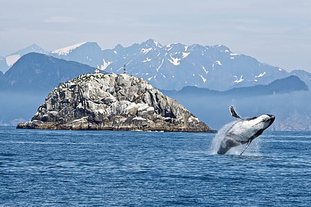 gray rock formation on body of water thumbnail