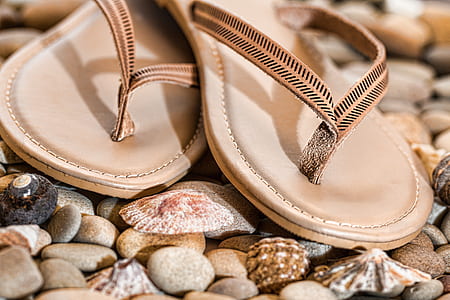 pair of brown leather flip-flops on seashells thumbnail