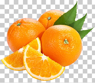 Bitter orange Tangerine , Large Oranges , oranges PNG clipart