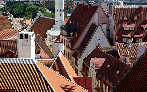 house roofs at daytime thumbnail