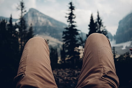 person laying on forest thumbnail