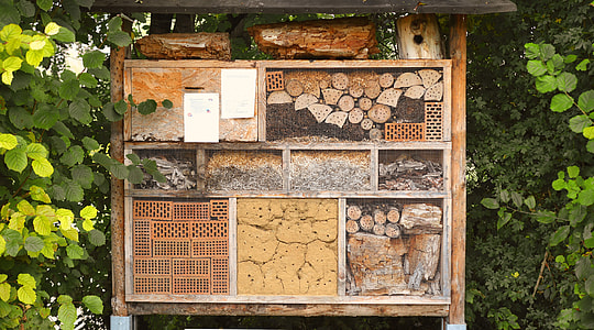 Insect House, Nature Conservation thumbnail