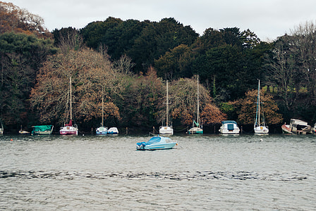 Moored boats thumbnail