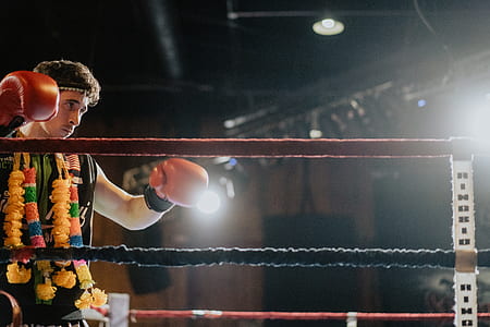 boxer digital wallpaper thumbnail