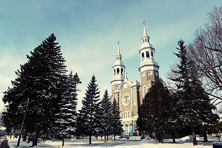 pathway going to cathedral surrounded with trees under blue sky at daytime thumbnail