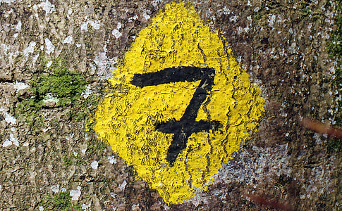 number 7 post thumbnail