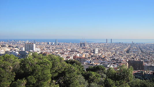 aerial view photography of cityscape thumbnail