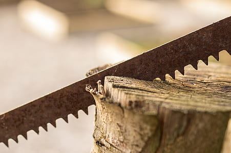 wood, tool, saw, forestry thumbnail