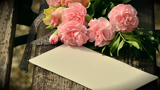pink flowers beside white paper thumbnail