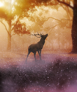 Reindeer standing between trees painting thumbnail