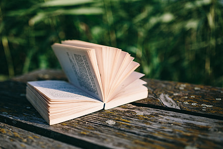 Reading book at lake thumbnail