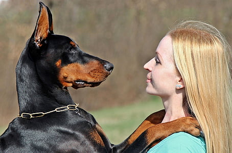 woman and Doberman facing at each other thumbnail