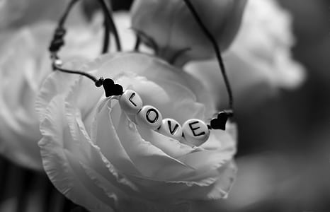 grayscale photo of white rose and beaded bracelet thumbnail