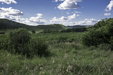 Bushes, Grassland, and hills landscape at Hogback Prairie thumbnail