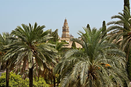 aerial view photography of church thumbnail