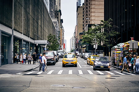 people walking across the pedestrian at the city thumbnail