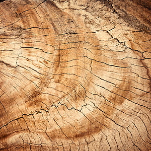 wood, dark, pattern, texture thumbnail