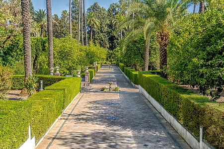 concrete pavement surrounded with trees thumbnail