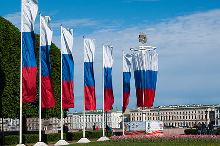 red-white-and-blue flags over through white buildings thumbnail