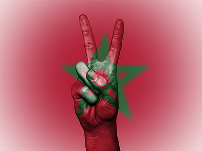 person showing peace hand sign illustration thumbnail