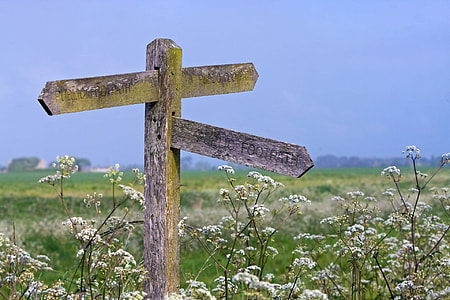 brown wooden with letter decor during blue sky thumbnail