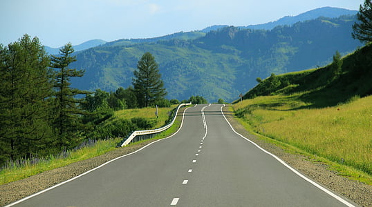 gray asphalt road beside pine trees photography during dayttime thumbnail