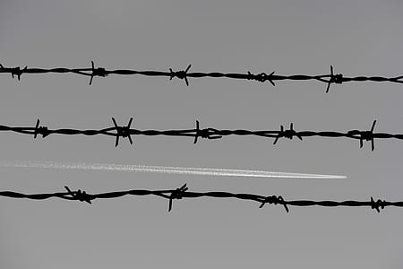 three barbwire thumbnail